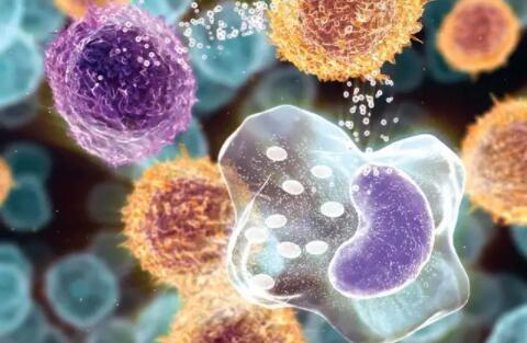 T细胞免疫疗法能缓解自体免疫疾病