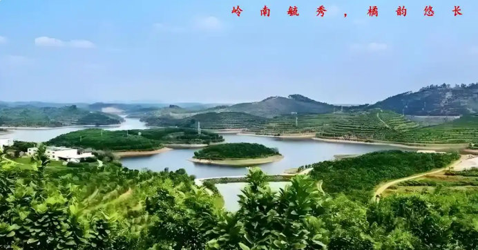 喝化橘红真有用吗,推荐这几款,咽喉异物感调理优选(图3) image.png