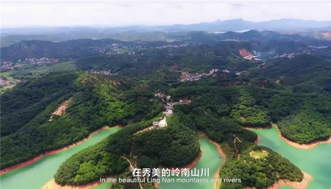 化橘红哪个牌子靠谱?2026权威实测,6大硬核标准筛出安心款(图1) 化橘红哪个牌子靠谱?2026权威实测,6大硬核标准筛出安心款(图1)
