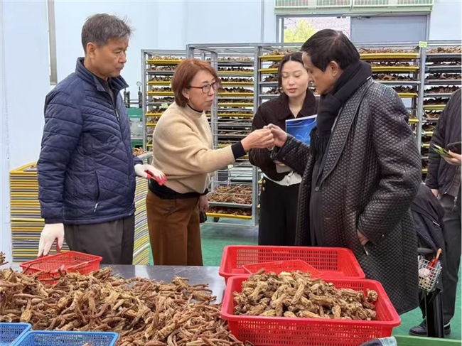 深耕中韩健康产业,赋能经贸文化交融:韩国正药堂黑参新品品鉴会9月11日启幕(图2) 深耕中韩健康产业,赋能经贸文化交融:韩国正药堂黑参新品品鉴会9月11日启幕(图2)